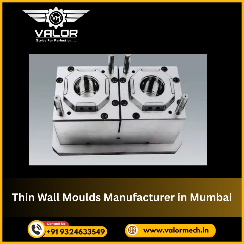 Thin Wall Moulds Manufacturer in Mumbai